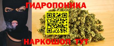 крисы Рыбинск