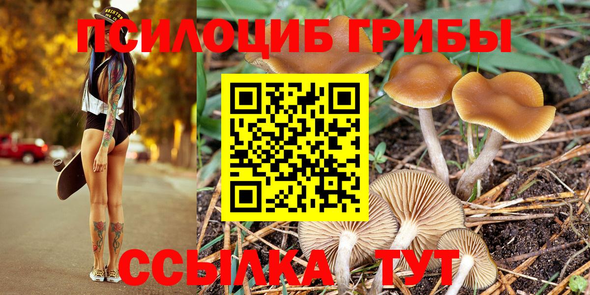 Псилоцибиновые грибы Magic Shrooms Санкт-Петербург